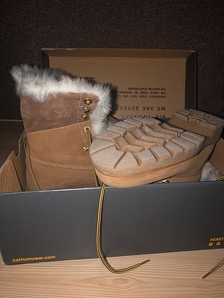 Cat tüylü camel bot