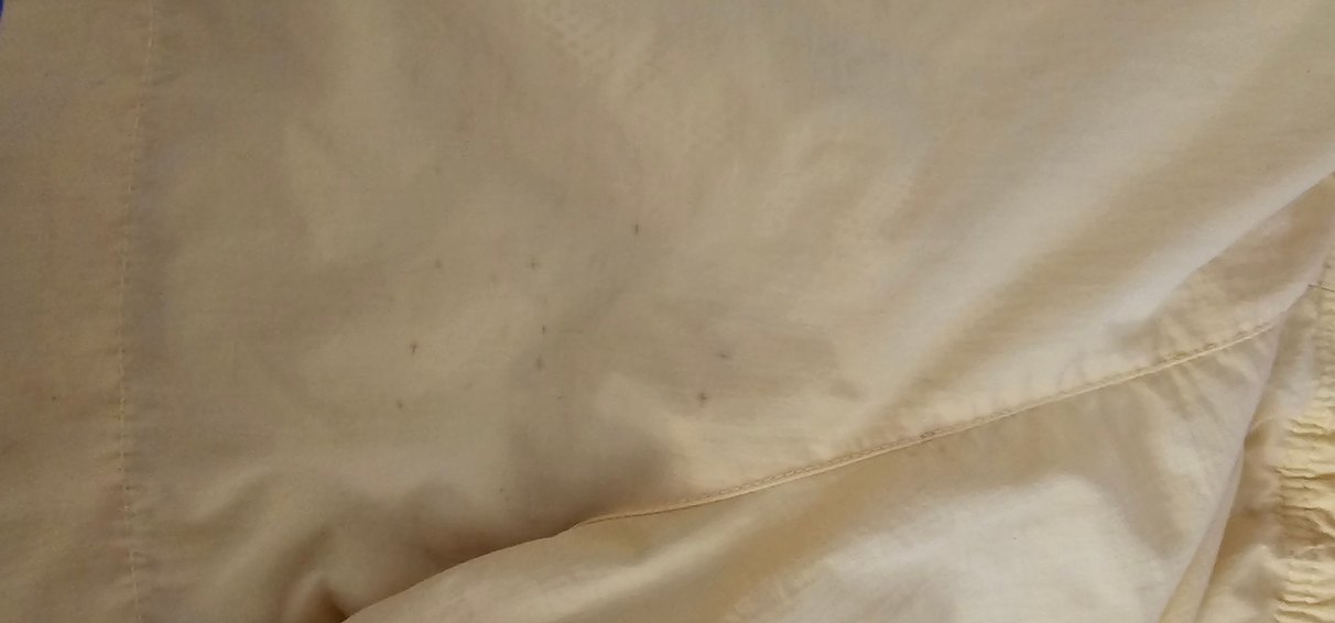 fenerbahçe lisanslı Erkek Midi Şort - Görsel 5