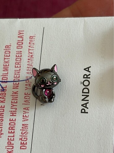 Pandora Pandora charm