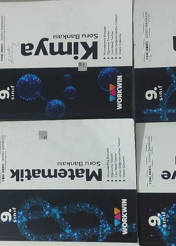WORKWIN 9. Sınıf Soru Bankası Seti - Görsel 4