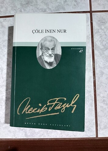  Çöle inen nur