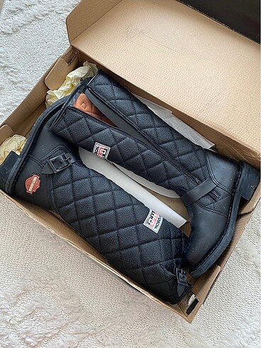 Harley davidson çizme