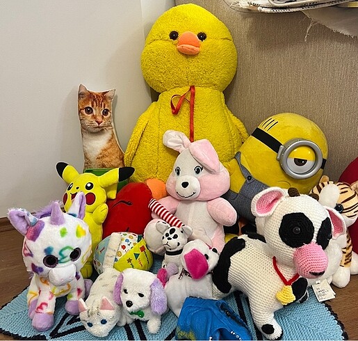Peluş oyuncak