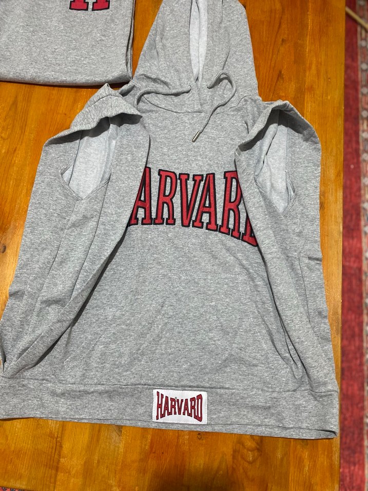 Gri Kadın Spor Eşofman üstü ve Altı - Görsel 2