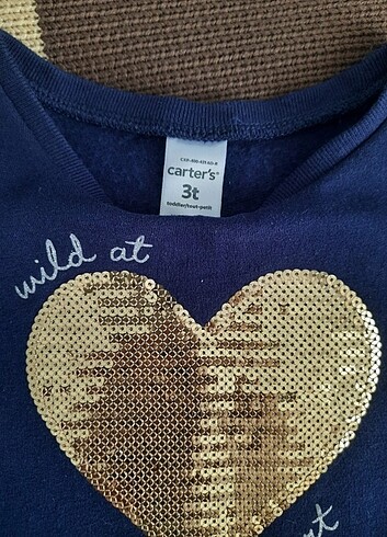 24-36 Ay Beden Carters elbise