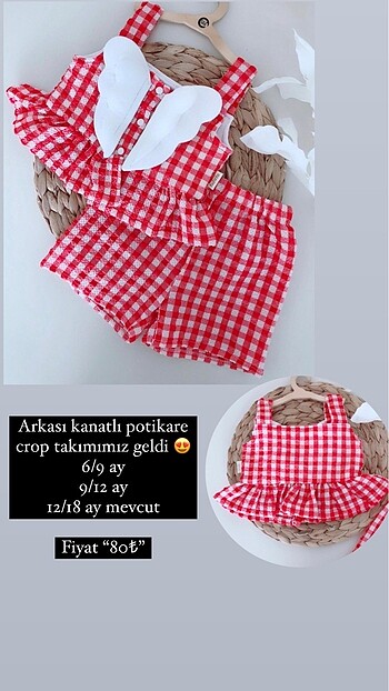Kanatlı crop takım