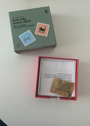 Gaet Mig Guess What Kutulu Çocuk Oyunu Flying Tiger - Görsel 3