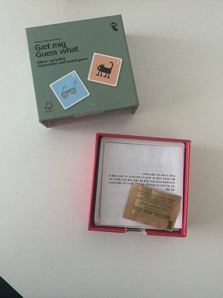 Gaet Mig Guess What Kutulu Çocuk Oyunu Flying Tiger - Görsel 3