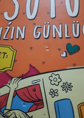 Üsütük Kızın Günlüğü - Anna Cammany - Görsel 3