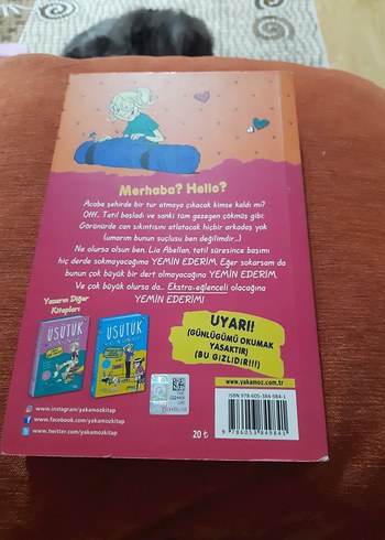 Üsütük Kızın Günlüğü - Anna Cammany - Görsel 2