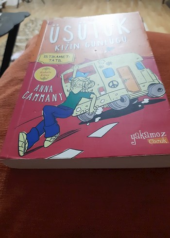 Üsütük Kızın Günlüğü - Anna Cammany - Görsel 4
