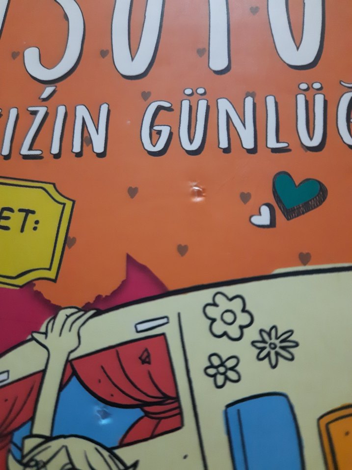 Üsütük Kızın Günlüğü - Anna Cammany - Görsel 3