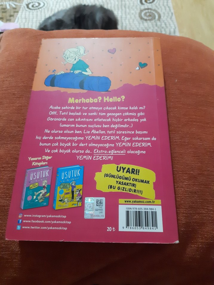 Üsütük Kızın Günlüğü - Anna Cammany - Görsel 2