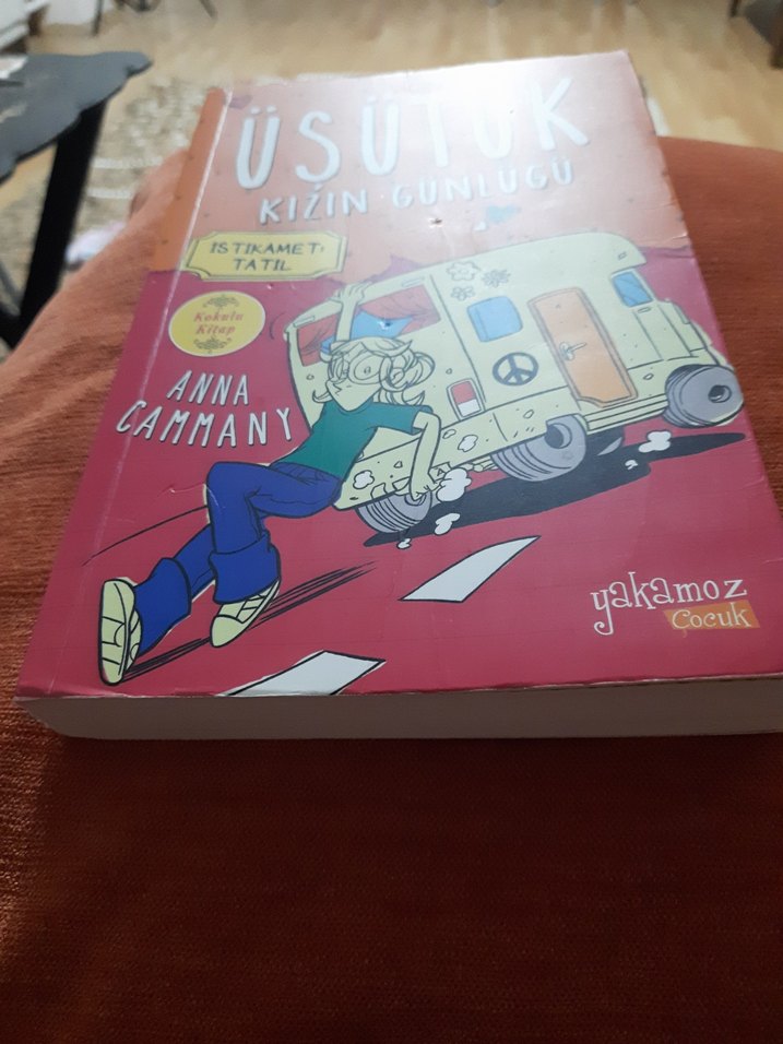 Üsütük Kızın Günlüğü - Anna Cammany - Görsel 4