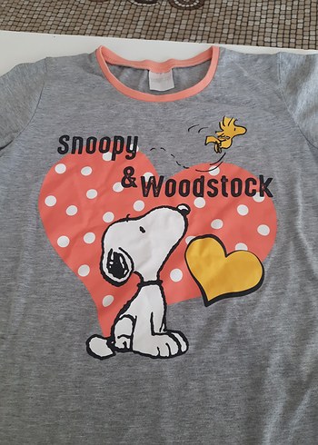 Diğer Kız Çocuk Gri Snoopy & Woodstock Tişört
