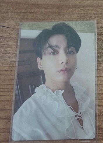 Std vamp jungo