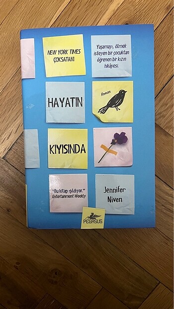 Hayatın Kıyısında