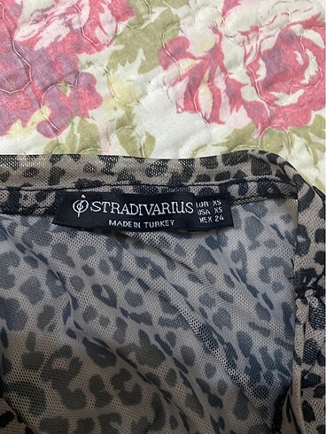 Stradivarius Leoparke