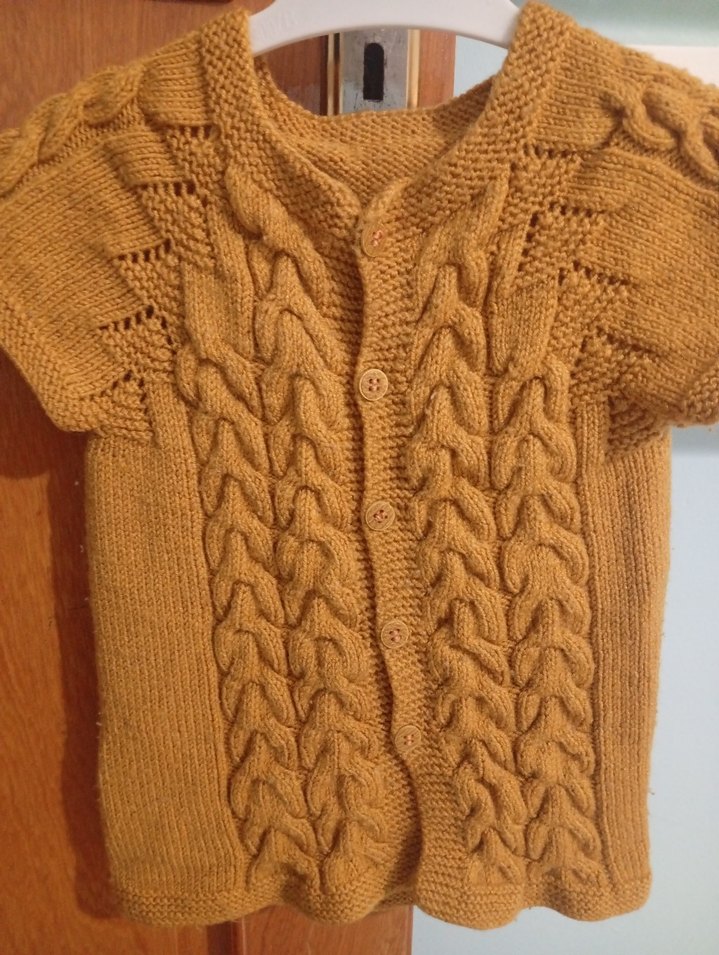 erkek bebek yelek - Görsel 2