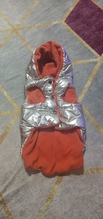 Kedi kıyafeti - Görsel 6