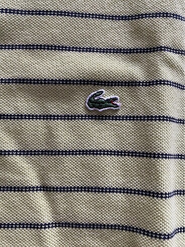 Lacoste Lacoste kolsuz blu