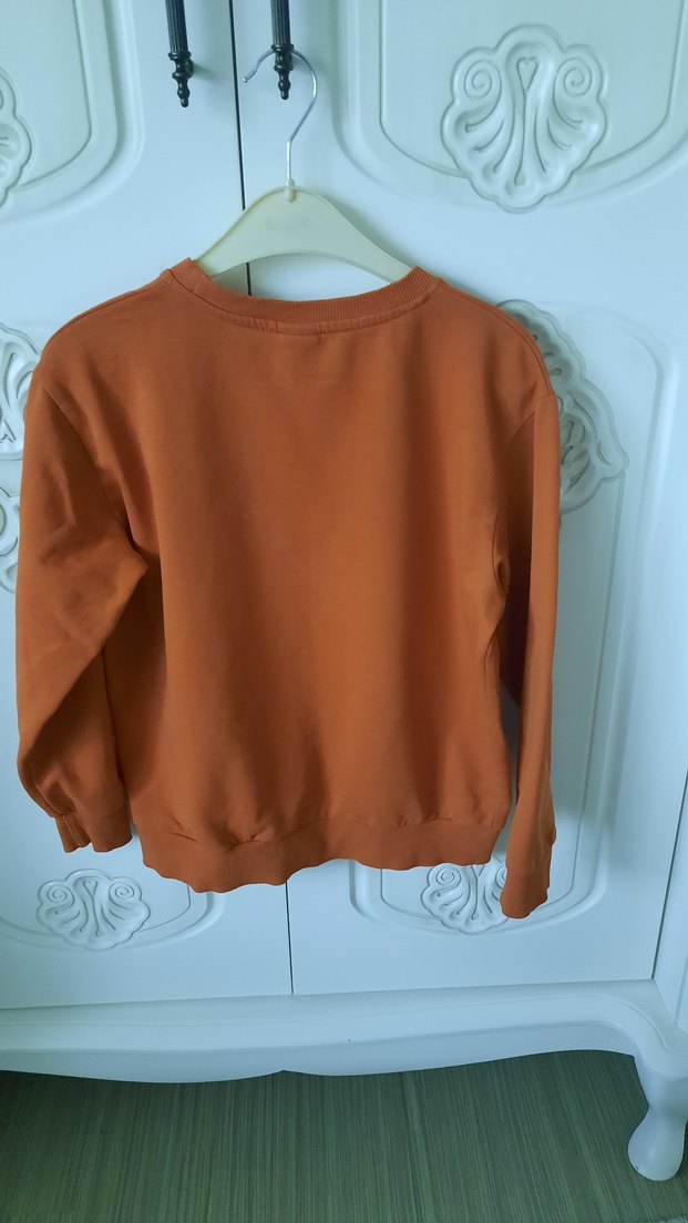 Kiremit rengi Erkek Çocuk Baskılı Sweatshirt - Görsel 2