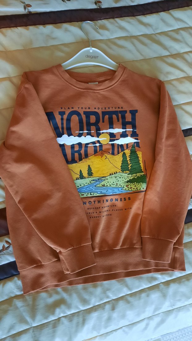 Kiremit rengi Erkek Çocuk Baskılı Sweatshirt - Görsel 3