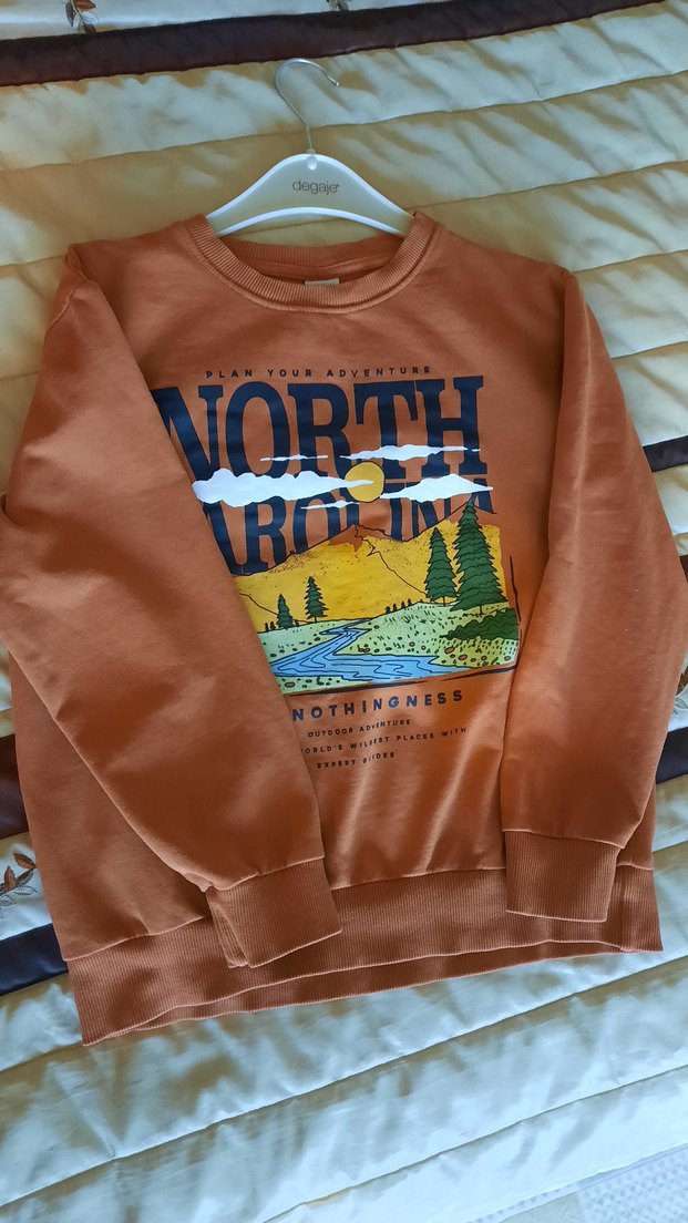 Kiremit rengi Erkek Çocuk Baskılı Sweatshirt - Görsel 4