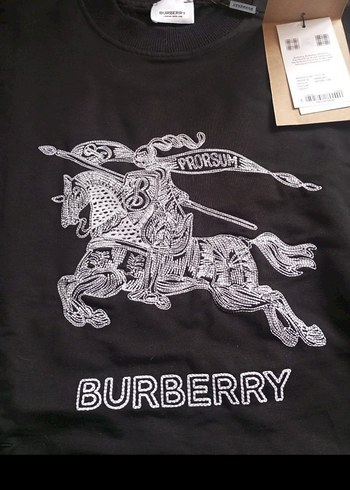 #Burberry nakış baskılı #Siyah #Erkek #Sweatshirt #y2k - Görsel 3