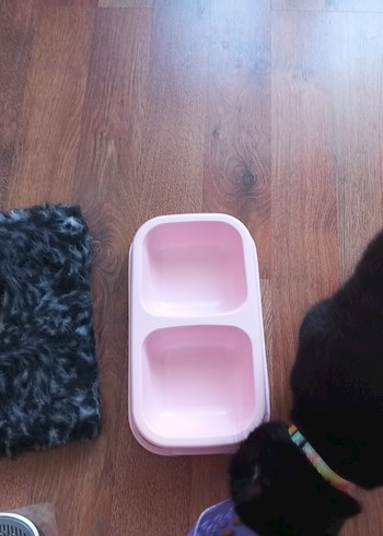 Gri #Kedi Tüyü Fırçası malzemeleri - Görsel 4