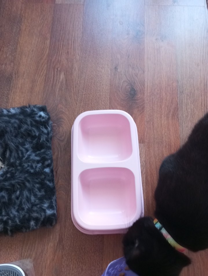 Gri #Kedi Tüyü Fırçası malzemeleri - Görsel 4