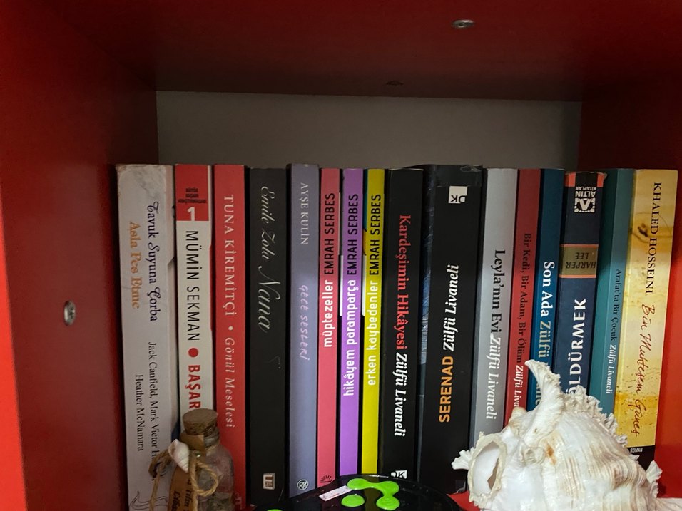 Roman kitap - Görsel 4