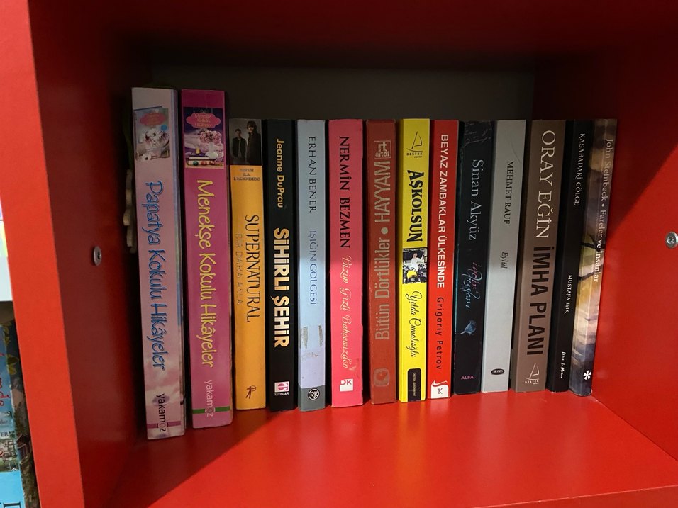 Roman kitap - Görsel 3