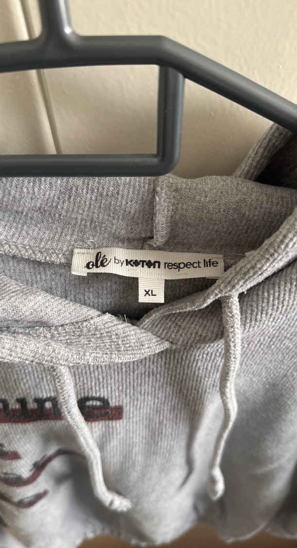 Gri fitilli Kadın Kapüşonlu Sweatshirt - Görsel 3