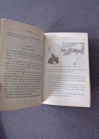 The Piano - Roseemary Border - Görsel 6