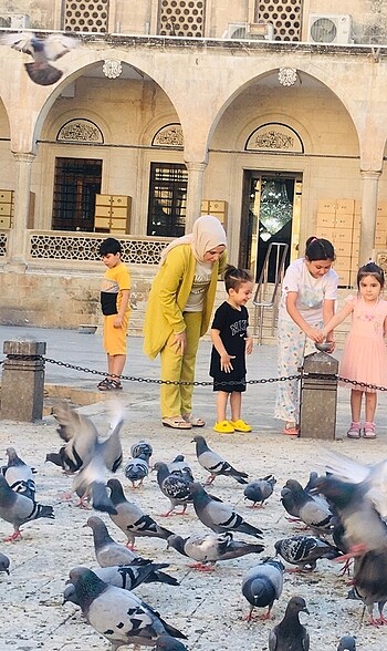 40 Beden Yazlık takım