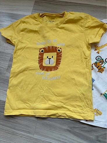 LC Waikiki Lc Waikiki 2 li tshirt 5 yaş
