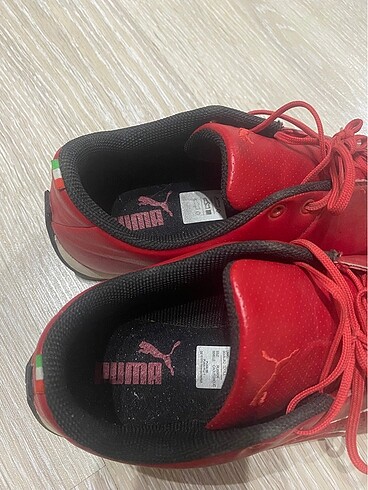 43 Beden bordo Renk Ferrari puma