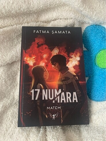 17 numara matem