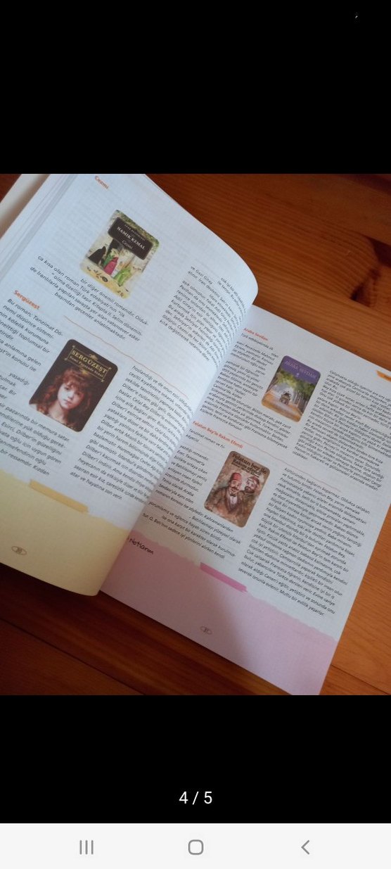 11. Sınıf Türk Edebiyatı Ders Rehberi Testokul - Görsel 4