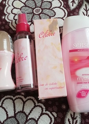 Celebre set
