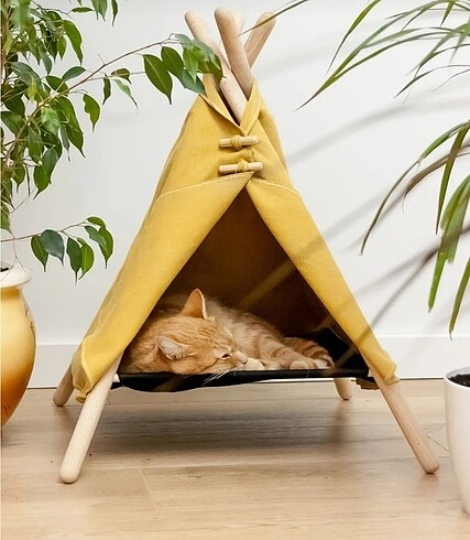 Kedi evi
