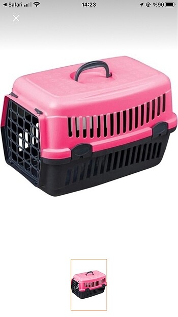Kedi köpek baxı