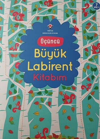 TÜBİTAK Üçüncü Büyük labirent Kitabım