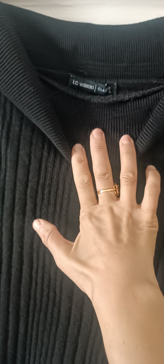 Uzun Siyah Piliseli Kadın Elbise - Görsel 3