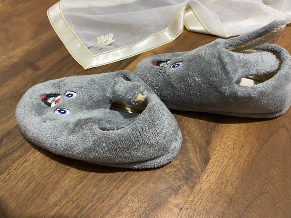 Gri Erkek Çocuk Peluş Terlik - Görsel 5