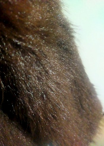 Kahverengi Kürk Detaylı Kadın - Görsel 4