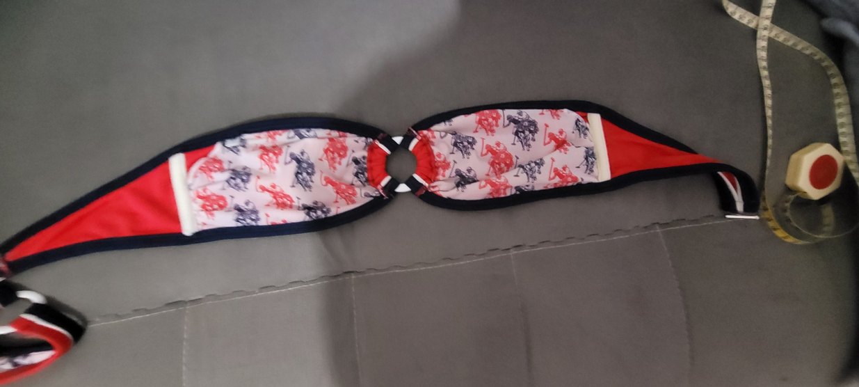 polo Kırmızı Straplez Bikini Takımı - Görsel 3