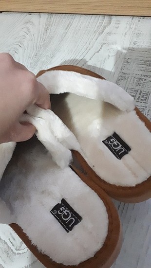 ugg ev terligi
