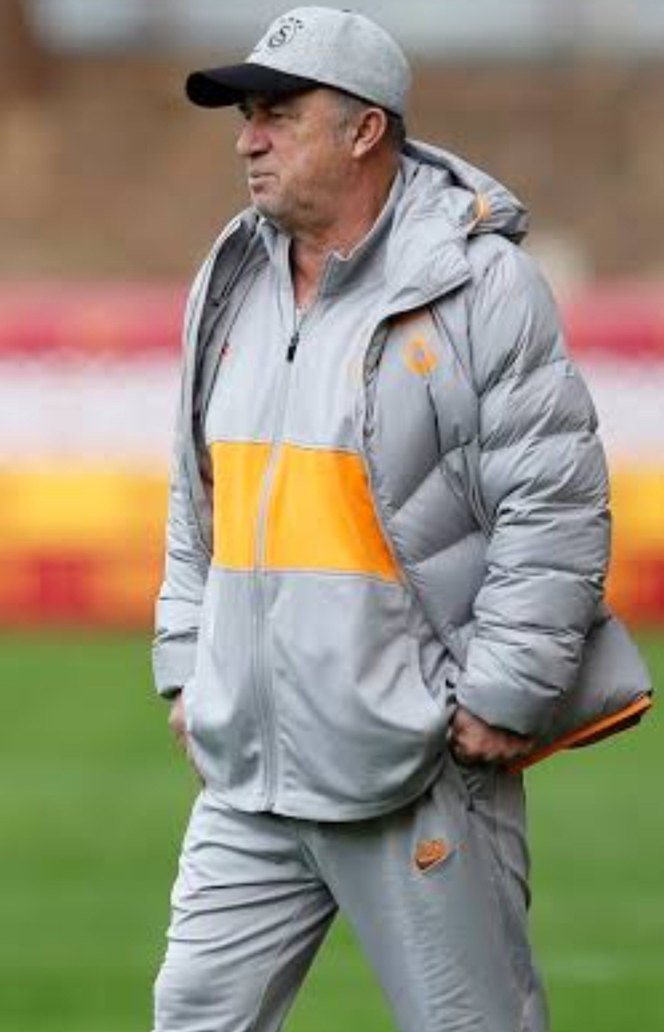 Nike Gri Midi Kışlık Fermuarlı Mont - Görsel 2